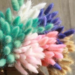 Faux Floral Greenery 30 pcsparty rabbit grass home decoration floral arrangement natural dried flowers garden real flower dog tail grass shoot props J220906