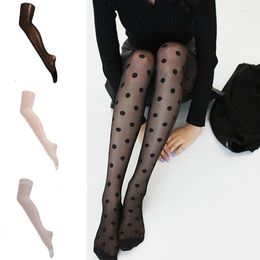 Women Socks Fashion Tights Sexy Sheer Lace Big Dots Pantyhose Stockings Punk Cute With Fishnet Female