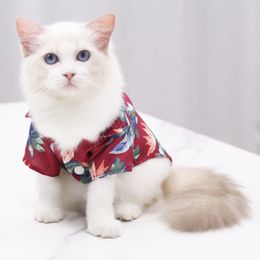 Cat Costumes Dog Apparel Cat Clothes for Pets Pet Items Cute Summer Dress Dresses for Cats Dress Clothing Kitten Supplies Products Home Garden 220908