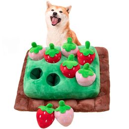 plush toys for small dogs UK - Dog Toys Chews Dog Plush Toy Harvest Carrots with Squeaky Rabbit Nose Training Hide Chew Puzzle Interactive Toys for Small Medium Dogs 220908