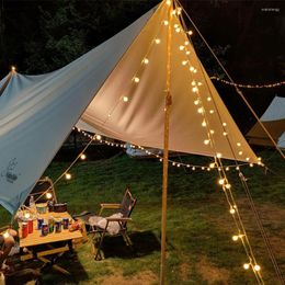 Strings USB/Battery Powered Cherry Balls LED Garland Lights Fairy String Christmas Wedding Party Camping Tent Outdoor Decoration Lamp