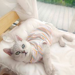 Cat Costumes Apparel Kitten Clothes Pet Supplies Summer Dress for Cats Cute Comfortable Fancy Dress Clothing Dresses Items Cat Products Home 220908