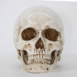 Halloween Toys 1PcsPack Statues Sculptures Skull Model Size 1 1 Decorative Crafts Life Replica High Quality Halloween Home Decor Resin 220908