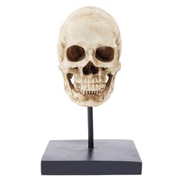 Halloween Toys HeyMamba Gothic Human Skull Statue Sculpture Display Skeleton Head Model Halloween Decoration Pography props 220908