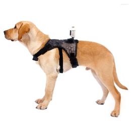 Dog Collars Adjustable Neck Ring Bust And Waist Belt Harness With Camera Mount From Perspective For Medium Large Dogs