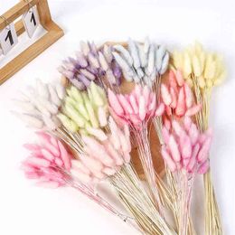 Faux Floral Greenery 30Pcs Natural Pink Bunny Tails Grass Dried Rabbit Grass Flower Bouquet For Interior Decoration Accessories Photography Props J220906