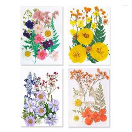 Decorative Flowers 1 Bag Real Natural Dried Pressed Resin Mold Fillings Flower For DIY Arts Crafts Scrapbooking Accessory