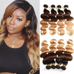 ombre human hair bundles Australia - Human Hair Bulks Brazilian Ombre Extensions Body Wave Bundles 1b 99j 1b 27 1b 4 27 Blonde Brown Colored Remy Weave