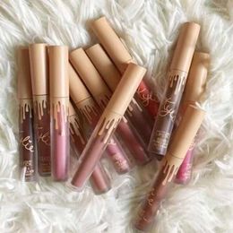 Lip Gloss 12pcs/set SeT Makeup Lips Red Moisturizing Lipstick Tint Beauty Cosmetics Professional Wholesale Lady