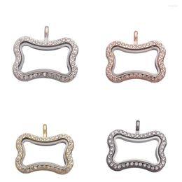 Pendant Necklaces 5Pcs Dog Bones Glass Memory Medaillon Picture Living Floating Locket For Women Relicario Charms Jewelry Making
