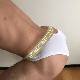 Underpants Sexy Underwear Men Briefs Cotton Hollow Out Back Man Gay Low Rise Men's Panties Slip Homme Breathable OR6106