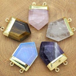 Pendant Necklaces PM12267 Double Hole Dog Tooth Amethyst Opal Tiger Eye Rose Quartz Clear Crystal Shield Shape Gold Plated Pendants