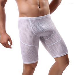 long boxers shorts Canada - Men's Shorts Mens Sexy Causal Mesh Sheer Pajama Sleep Bottoms Sports Fitness Breathable Leggings Loungewear Slip Homme Long Boxers 2XL