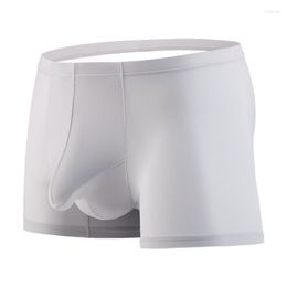Underpants Summer Ice Silk Ultra-thin Boxershorts Men Sexy Boxer Seperation Penis Pouch Bags Breathable Gay Shorts Underwear Masculina