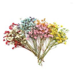 Decorative Flowers 3Pcs Mini Gypsophila Dried Natural Babysbreath Preserve Floral Plant Bouquet Wedding Party Home Backdrop Decor Diy Craft