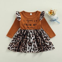 Girl Dresses Toddler Baby Girls Cute Dress Princess Ruffle Long Sleeve Leopard Letter Print Frill Smocked A-Line For Kids