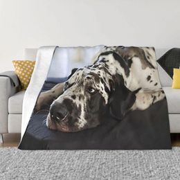 Blankets Great Dane Blanket Sofa Cover Fleece Decoration Animal Breathable Ultra-Soft Throw For Bedding Car Quilt