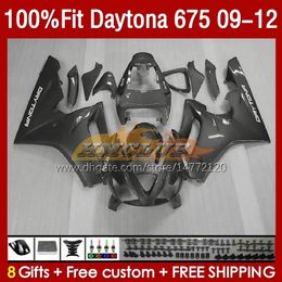 OEM Full Fairings For Daytona 675 675R 2009 2010 2011 2012 Body 150No.91 Daytona675 2009-2012 Bodywork Daytona 675 R 09 10 11 12 Injection Mould Fairing silvery grey
