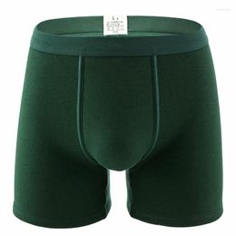 Underpants Men's Add Velvet Underwear Winter Thick Cotton Keep Warm Shorts Plus Long Legs Boxers Pants Boxershorts Men