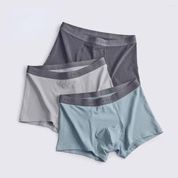 Underpants HSS Striped Solid Colour Cotton Boxer Shorts Head Traceless Comfort Plus Size Personality Wholesale Men's Underwear