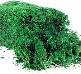 Decorative Flowers Mountain Moss Dried Natural 100g Dry Simulation Plants Micro Landscape Decoration