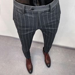 Men's Suits Men Korean Slim Fit Striped Suit Pants Elegant Formal Autumn High Quality Business Office Groom Wedding Trousers