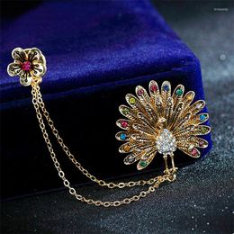 Brooches Fashion Tassels Brooch Vintage Shining Crystal Animal Peacock Open Double Chain Lovely Flower Men Women Jewelry Accessory