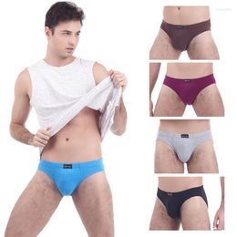 Underpants Men's Underwear Briefs Cotton Breathable Sexy Fashion Low Waist Stretch Three-Dimensional Comfortable Man Male