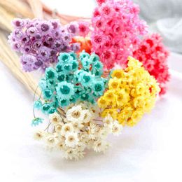 Faux Floral Greenery 30Pcs Dried Flowers Mini Daisy Epoxy Resin Natural Flower Bouquet Wedding Home Decoration Photography Photo Background Decor J220906