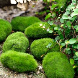 Faux Floral Greenery Artificial Moss Foam Lichen Simulation Plants Garden Decoration Photography Accessories Party Wedding Christmas J220906