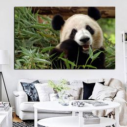 Print Wall Pop Art Animal Bamboo Panda Bear Landscape Oil Painting on Canvas Poster Modern Wall Picture For Living Room Cuadros