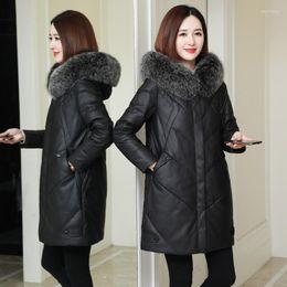 Women's Leather Haining Down Jacket Women's Mid Long 2022 Sheep Skin Collar Loose Thickened Fur Coat & Faux