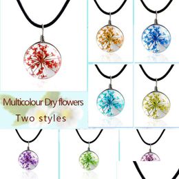 Pendant Necklaces Fashion Necklaces Real Dry Flowers Crystal Necklace Glass Round Pendants Sier Chain Choker For Women Drop Yydhhome Dhyxv