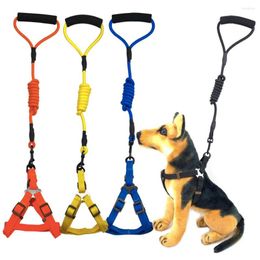 Dog Collars 5 Colours Nylon Leash And Collar Set For Small Medium Large Puppy Big Necklace Rope Pets Accessories