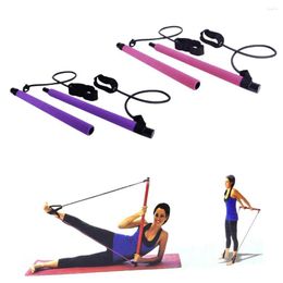 Resistance Bands Bar Kit Gym Workout Yoga Band Legs Glute Training