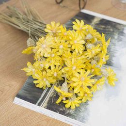 Faux Floral Greenery 510Pcs Dried Flower Daisy Orchid Natural Dry Plants Bouquet Home Decoration Accessories Photographic Props Wedding Christmas J220906