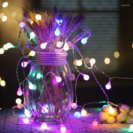 Strings YIYANG 5m 10m 20m 30m 50m LED String Lights White Ball Wedding Party AC220V Holiday Decoration Lamp Festival Christmas