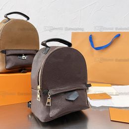 Палм -Спрингс мини -рюкзаки коричневые монограммы Canvas PU