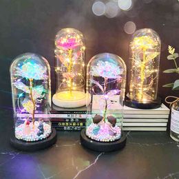 Faux Floral Greenery 2021 Led Enchanted Galaxy Rose Eternal 24K Gold Foil Flower With Fairy String Lights In Dome For Christmas Valentine's Day Gift J220906