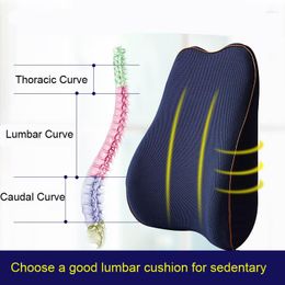 Pillow Memory Cotton Pregnant Waist Back Cushion Solid Colours Cosy Support Car Office Home Chair Orthopaedic Lumbar Relieve Cushion265N