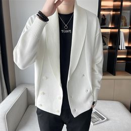 Men's Wool Blends Double-Breasted Cardigan Sweater Men Spring Clothes Knitted Sweater Coat Pure Colour Men Casual Slim Fit Brand Clothes 220915