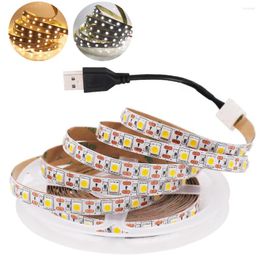 Strips 5V USB LED Strip Light SMD Flexible Tape Ribbon TV Backlight Lights Home Decoration 30cm 50cm 1m 2m 3m 4m 5m