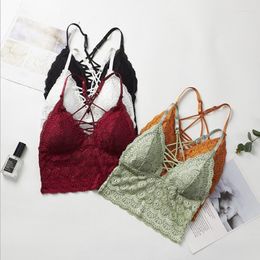 Bustiers & Corsets Women Lace Tube Tops Floral Embroidered Bralette Cropped Camis Sexy Lingerie Push Up Bra Bandeau