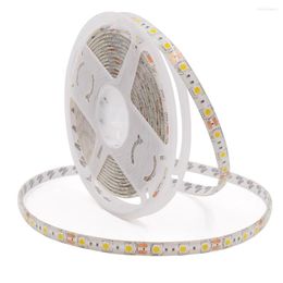 Strips SMD LED Strip DC 12V 60LEDs/m IP21 IP65 Flexible Light Warm White /White/RGB 5m/lot