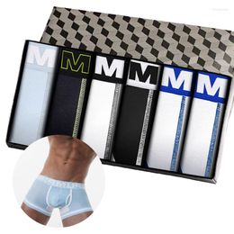 Underpants 6Pcs Ins Style Cotton Gay Sexy Men Boxershorts Hip Raise Trunk Man Underwear Boxers Men's Panties Freegun