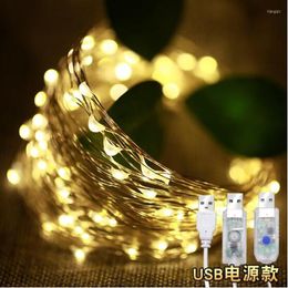 Strings Festival El Store Interior Decoration Outdoor Waterproof LED Lights 10 Metres 100LED Copper Wire String