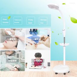 Floor Lamps Armrest LED Magnifying Glass Dimmable Lamp Tattoo Eyebrow Nail Art 8X Beauty Salon Shadowless