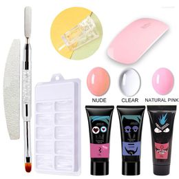 Nail Art Kits 8pcs/set Gel Set French Clear Camouflage Colour Tip Form Crystal UV Slice Lamp TSLM1