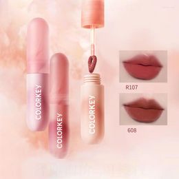 Lip Gloss Arrival Velvet Matte Mud Easy To Wear Makeup Women Beauty Cosmetics Cute Tint Waterproof