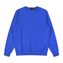 Wholesale package mail 2161 pieces of new polos shirts in autumn and winter Europe and America men's long sleeved casual cotton large fashion sweater sweaters s-2XL